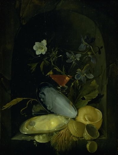 Still Life with Cockleshells and Blue Anemones by Frans van I Mieris