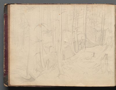 Album with Views of Rome and Surroundings, Landscape Studies, page 01b: Roman Landscape by Franz Johann Heinrich Nadorp