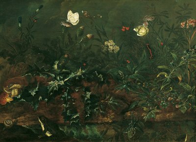 Grass Piece with Thistle, Frogs, and Dragonfly by Franz Michael Siegmund von Purgau d. Ä.