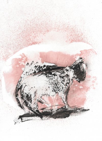 Dynamic Feline Sketch by Frederic Belaubre