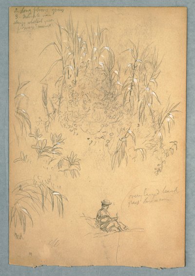 A Detailed Study of a Seated Man and a Group of Plants, Ecuador by Frederic Edwin Church