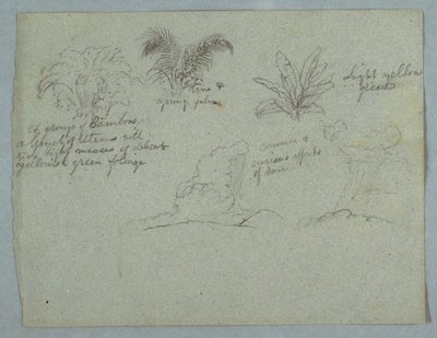 Bamboos, Vine and a Young Palm, Plant, and Two Scenes of Rain Falling from Clouds over Ridges, Rio Magdalena, Colombia by Frederic Edwin Church