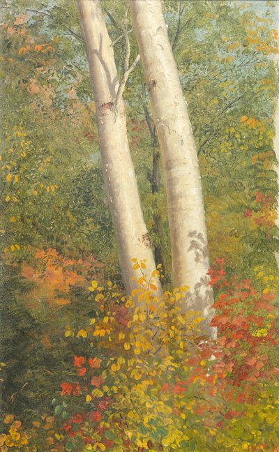 Birch Trees in Autumn by Frederic Edwin Church