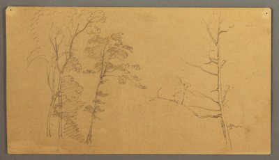 A Group of Trees with the Upper Part of a Dead Tree, 1866 by Frederic Edwin Church