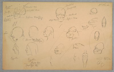 Anatomical Studies, 1865–70 by Frederic Edwin Church