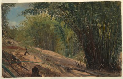 Bamboo Grove, Jamaica, 1865 by Frederic Edwin Church