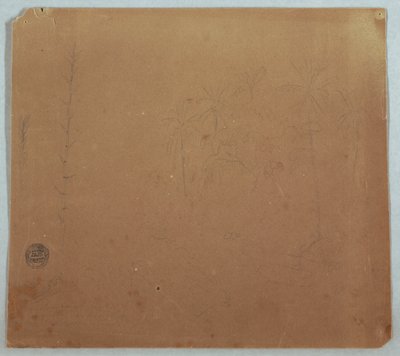 Botanical Sketches, Possibly Bamboos, Palms and Bushes, Ecuador or Colombia, 1853 or 1857 by Frederic Edwin Church