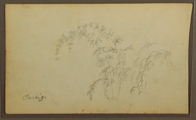 Botanical Sketches; Verso: Botanical Sketches, 1857 by Frederic Edwin Church
