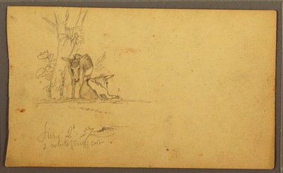 Donkeys, June 2, 1857 by Frederic Edwin Church