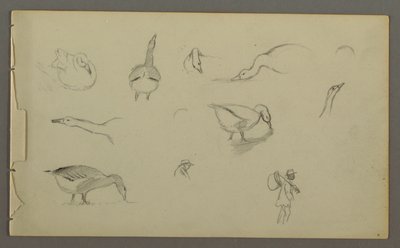 Eight Studies of Ducks, Two Figure Studies, possibly 1857–58 by Frederic Edwin Church