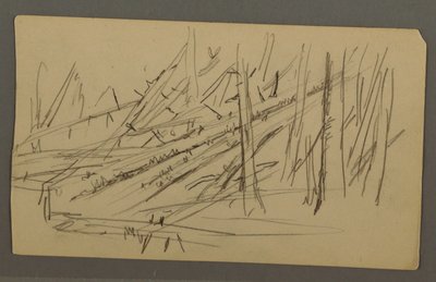 Fallen trees, possibly 1877 by Frederic Edwin Church
