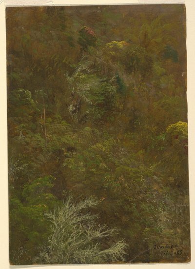 Hillside Covered with Bushes and Trees, July 1865 by Frederic Edwin Church
