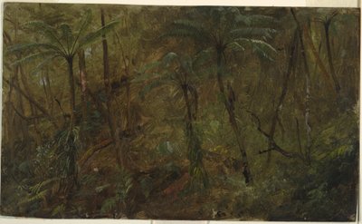 In the Woods of Jamaica, West Indies, 1865 by Frederic Edwin Church