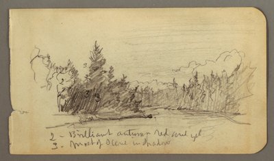 Lake Surrounded by Trees, Possibly 1878 by Frederic Edwin Church