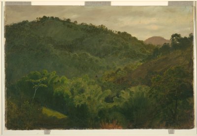 Landscape from Jamaica, West Indies, 1865 by Frederic Edwin Church