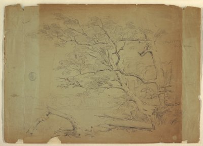 Landscape with Trees and a Stream, Grand Manan Island, Canada, September 1851 by Frederic Edwin Church