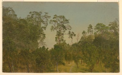 Landscapes, July 1865 by Frederic Edwin Church