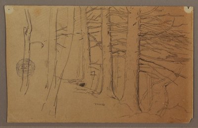 Lower Parts of a Group of Trees Growing on a Slope, 1862 by Frederic Edwin Church
