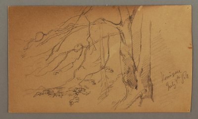Lower half of Tree, July 9, 1868 by Frederic Edwin Church