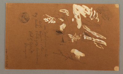Lower half of Tree, July 9, 1868 by Frederic Edwin Church