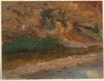 Margin of a Stream, 1860-70 by Frederic Edwin Church