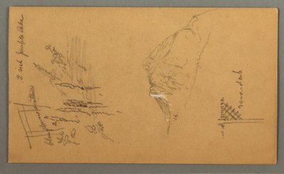 Mountain Peak, Vegetation by Pool, 1868 by Frederic Edwin Church