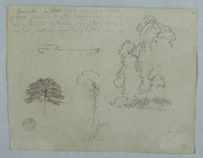 Nature Studies from the Rio Magdalena, Colombia: Trees, Vines and a Canoe, May 1853 by Frederic Edwin Church