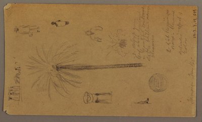 Sketches from Jamaica, West Indies, June 1865 by Frederic Edwin Church