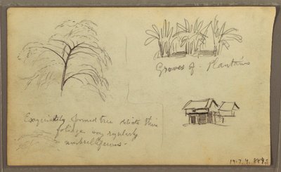 Street Corner in Guayaquil, Ecuador; Verso: Botanical Sketches, House, Ecuador or Colombia, 1857 by Frederic Edwin Church