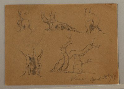 Studies of Olive Tree Trunks, April 28, 1869 by Frederic Edwin Church
