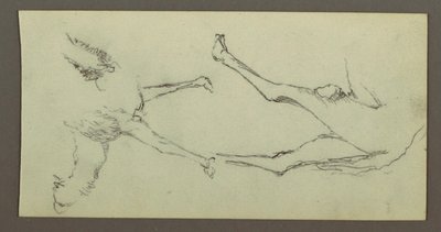 Study of Camel