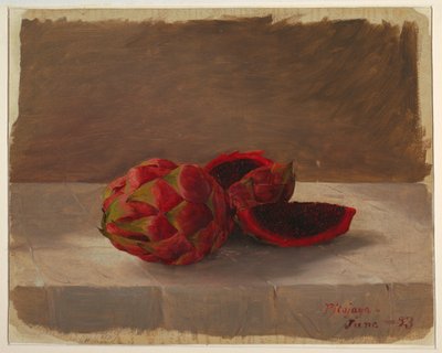 The Pitajaya Fruit, Columbia, June 1853 by Frederic Edwin Church
