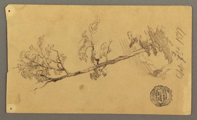 Tree, 1877 by Frederic Edwin Church