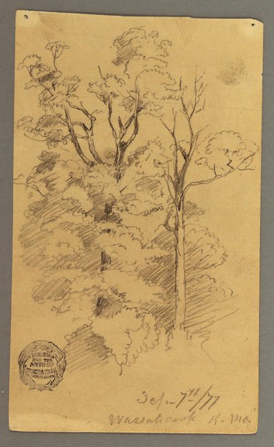 Two Trees, 1877 by Frederic Edwin Church