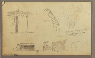 Views of the East Bank of the Guayas River, opposite Guayaquil, Ecuador, May 1857 by Frederic Edwin Church