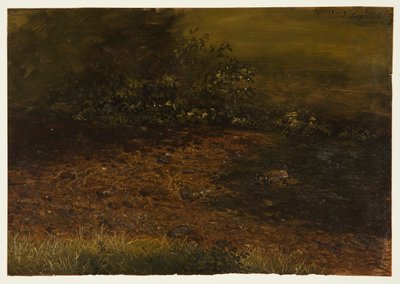 Woodland Stream in the Catskills, September 1848 by Frederic Edwin Church