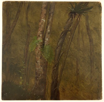 Landscape in Jamaica by Frederic Edwin Church