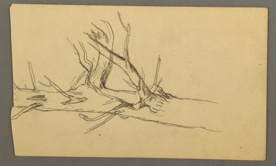 Middle Section of a Dead Tree Trunk by Frederic Edwin Church