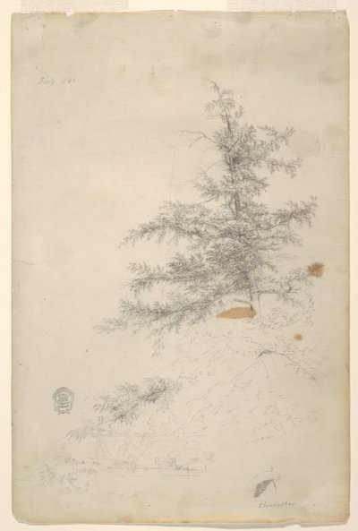 Tree, Stream by Frederic Edwin Church