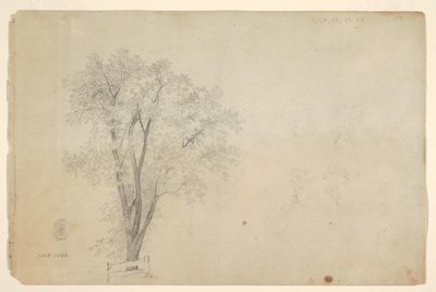Trees by Frederic Edwin Church
