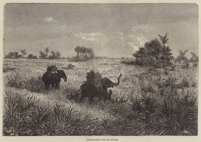 India and the Prince of Wales, Tiger-Shooting from the Howdah by Frederic Theodore Lix