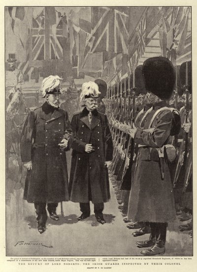 The Return of Lord Roberts, the Irish Guards inspected by their Colonel by Frederic de Haenen