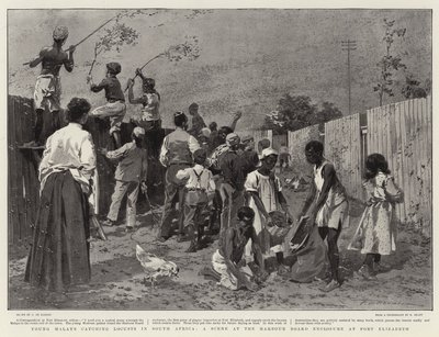 Young Malays Catching Locusts in South Africa, a Scene at the Harbour Board Enclosure at Port Elizabeth by Frederic de Haenen