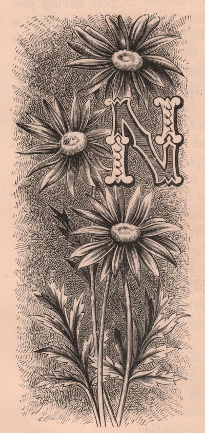 Letter N, drop cap letter, engraving by Frederick Edward Hulme