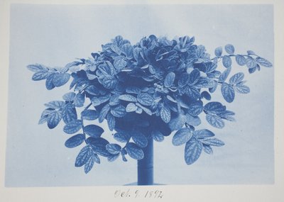 Untitled, October 9 by Frederick K. Coulson