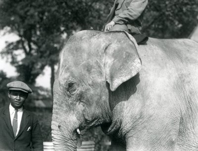 A Burmese Elephant with its trainer and another man, London Zoo, September 1926 by Frederick William Bond