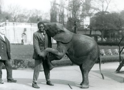 Young African Pygmy Elephant Stands on Her Hind Legs to Embrace Her African Trainer, While the Keeper Looks On, London Zoo, July 1925 by Frederick William Bond