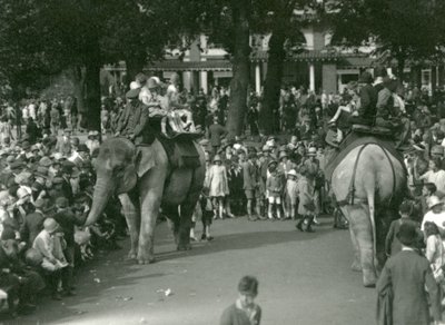 Elephant Rides, with Two Asiatic Elephants Watched by Crowds of Onlookers at London Zoo in August 1926 by Frederick William Bond