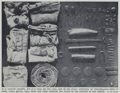 Items found in the stomach of an ostrich by Frederick William Bond