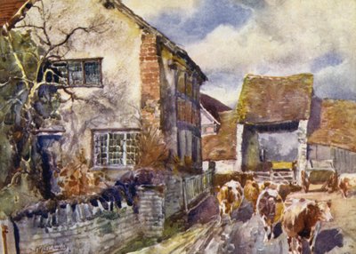 Mary Arden